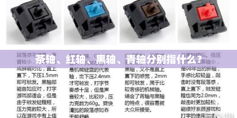 茶轴、红轴、黑轴、青轴分别指什么？
