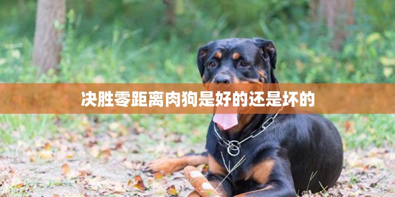 决胜零距离肉狗是好的还是坏的
