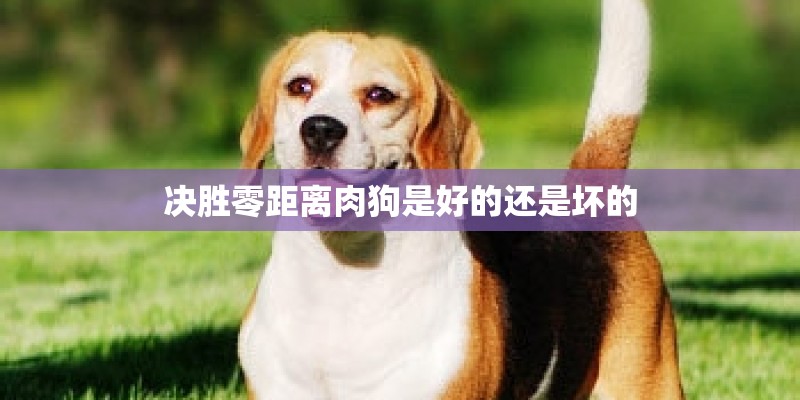 决胜零距离肉狗是好的还是坏的