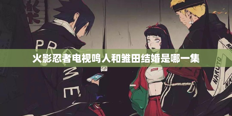 火影忍者电视鸣人和雏田结婚是哪一集