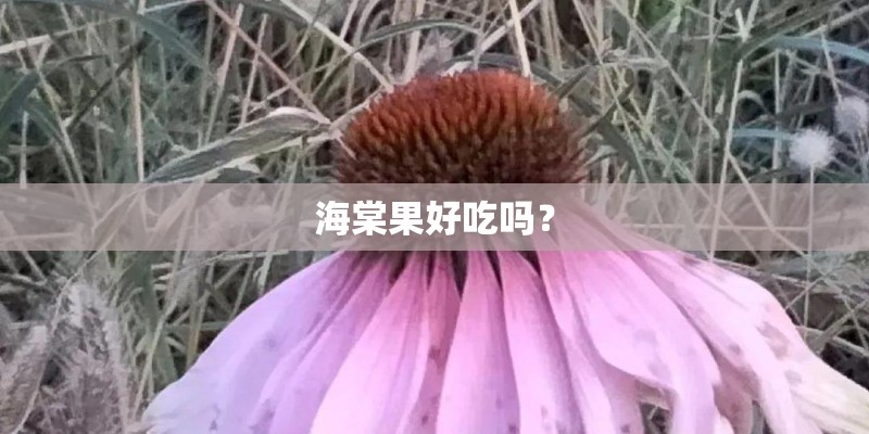 海棠果好吃吗？