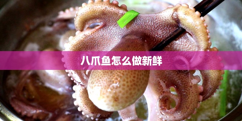 八爪鱼怎么做新鲜