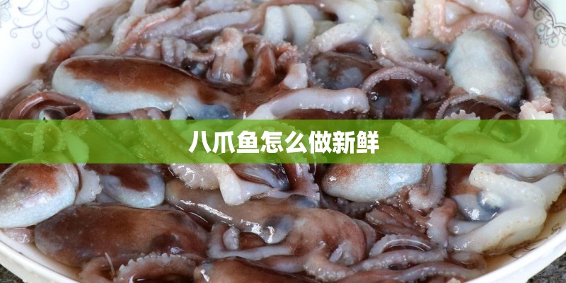 八爪鱼怎么做新鲜