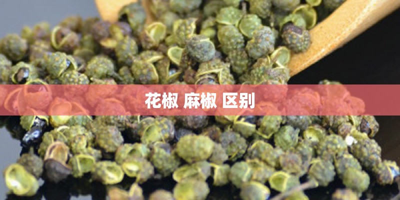 花椒 麻椒 区别