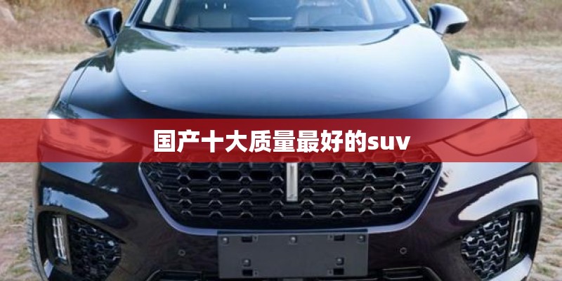 国产十大质量最好的suv