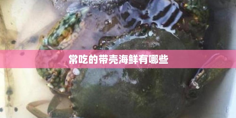 常吃的带壳海鲜有哪些