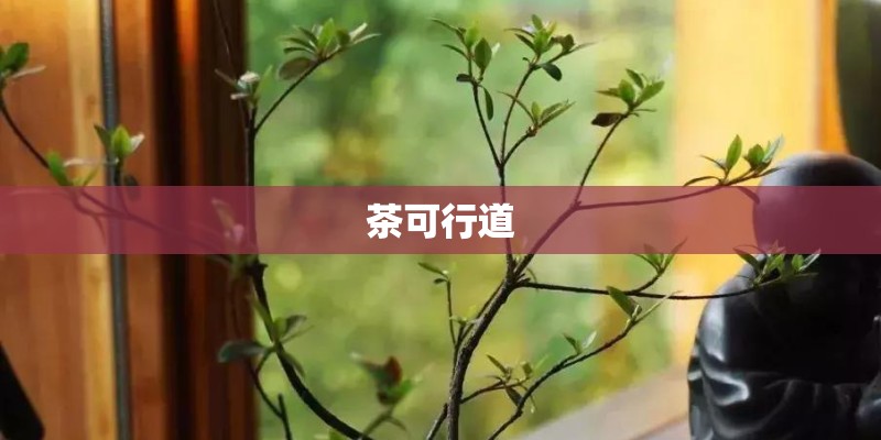 茶可行道