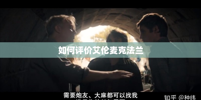 如何评价艾伦麦克法兰