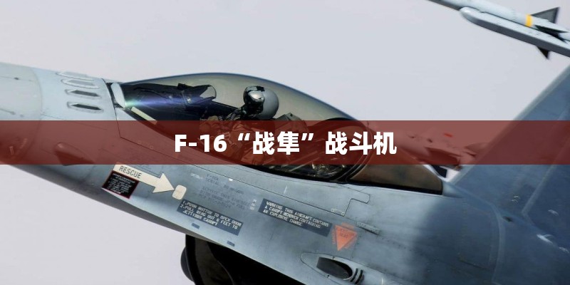 F-16“战隼”战斗机