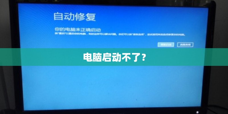 店铺前栽什么果树旺财 店门口适合种什么植物好