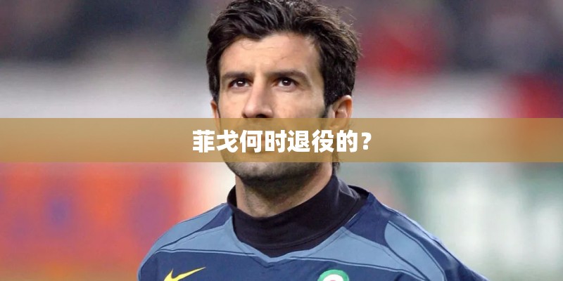 菲戈何时退役的？