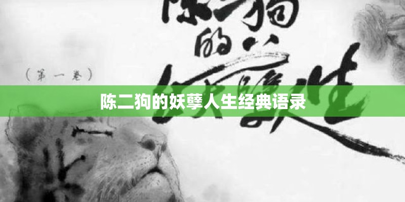陈二狗的妖孽人生经典语录