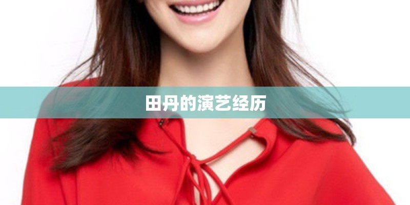 田丹的演艺经历