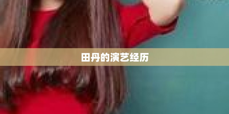 田丹的演艺经历