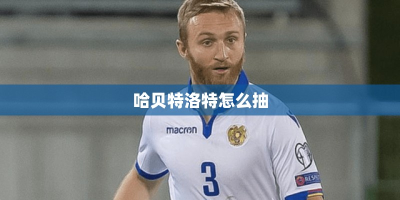 哈贝特洛特怎么抽