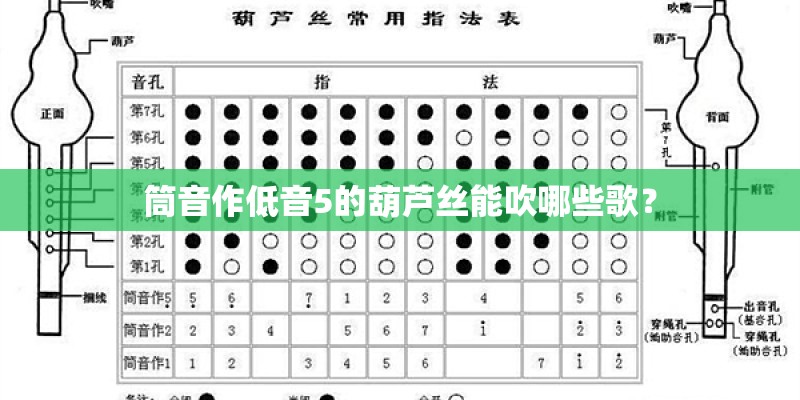 筒音作低音5的葫芦丝能吹哪些歌？
