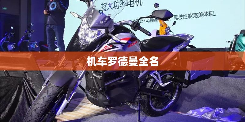 机车罗德曼全名