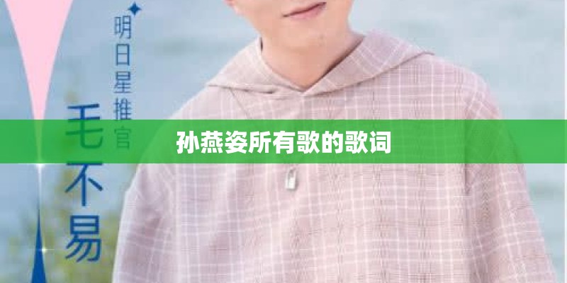 孙燕姿所有歌的歌词