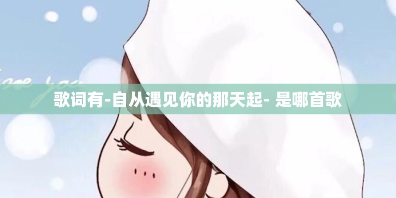 歌词有-自从遇见你的那天起- 是哪首歌