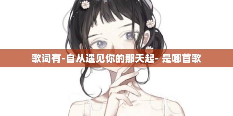 歌词有-自从遇见你的那天起- 是哪首歌
