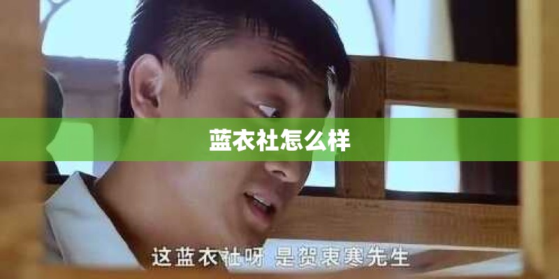 蓝衣社怎么样 蓝衣社怎么样