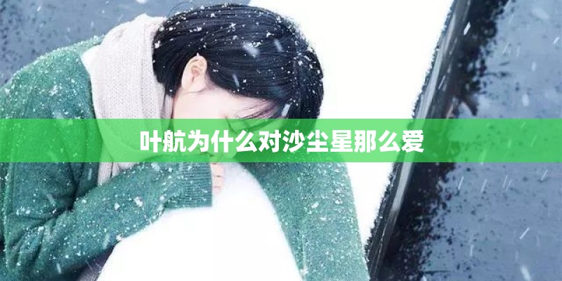 叶航为什么对沙尘星那么爱