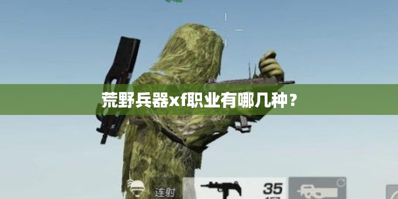荒野兵器xf职业有哪几种？