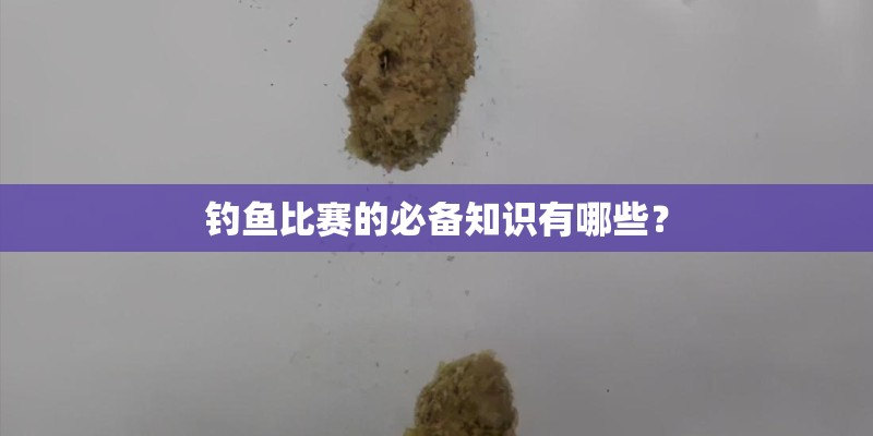 钓鱼比赛的必备知识有哪些？