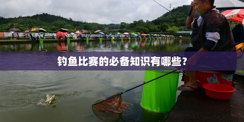 钓鱼比赛的必备知识有哪些？