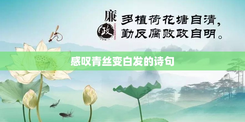 国内唯一在售迈巴赫S级车型 S450 4MATIC典藏版上市！