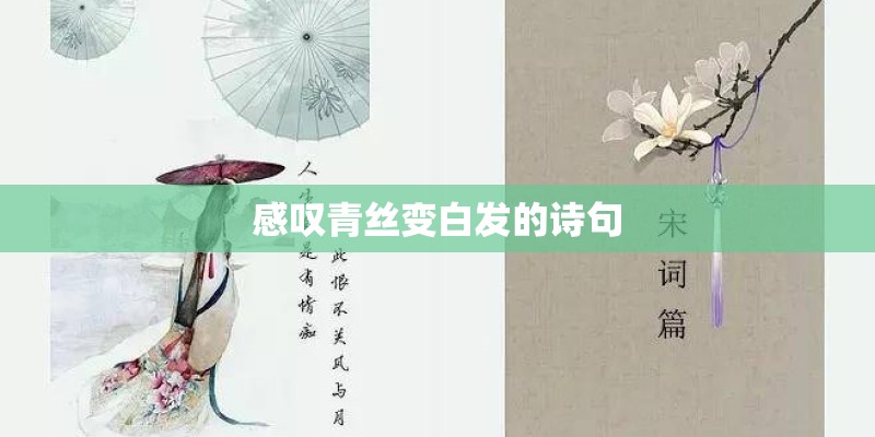 感叹青丝变白发的诗句