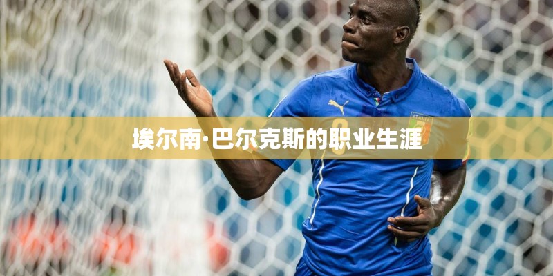 埃尔南·巴尔克斯的职业生涯
