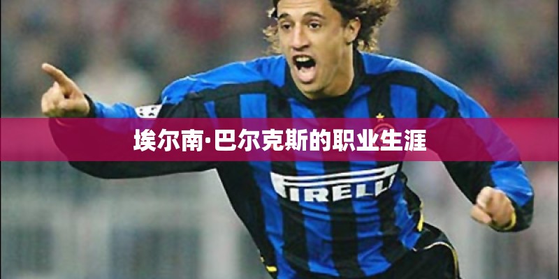 埃尔南·巴尔克斯的职业生涯
