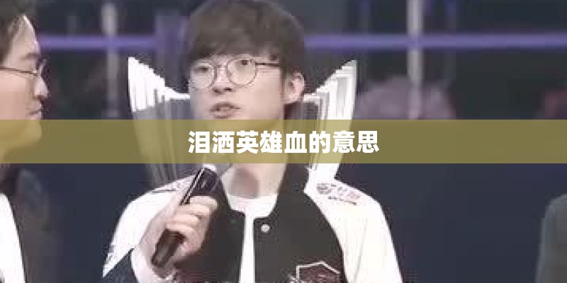 泪洒英雄血的意思