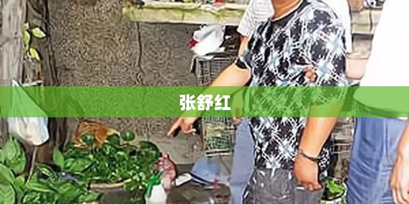 张舒红