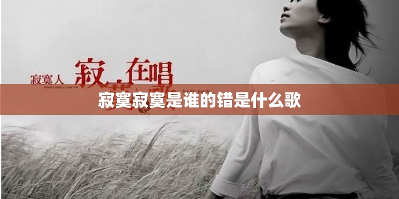 寂寞寂寞是谁的错是什么歌