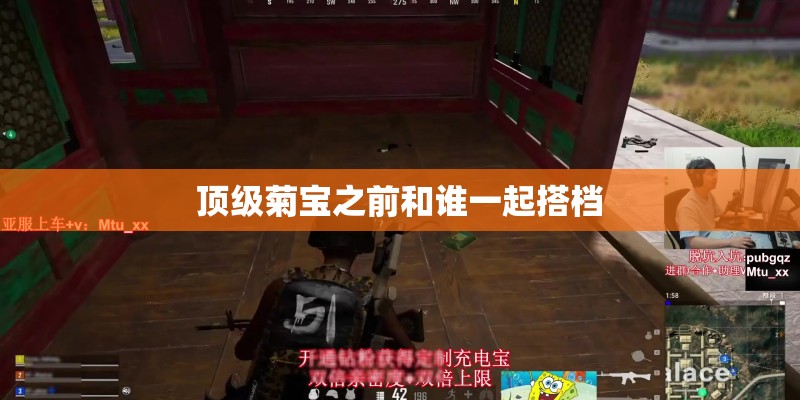 顶级菊宝之前和谁一起搭档