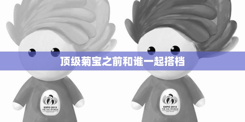 顶级菊宝之前和谁一起搭档