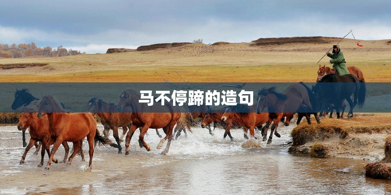 马不停蹄的造句