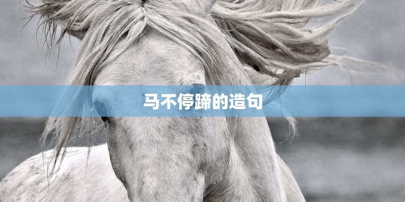 马不停蹄的造句