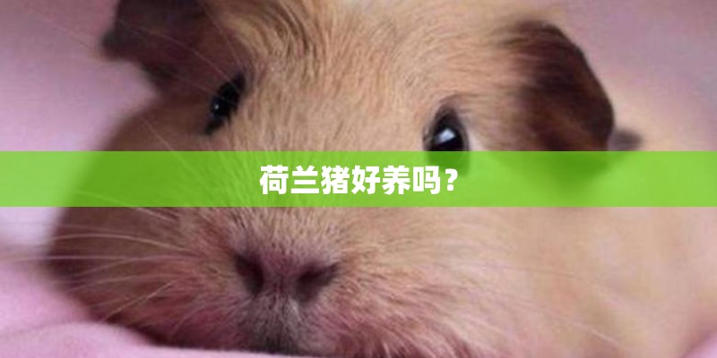 平遥今天24小时的天气怎么样