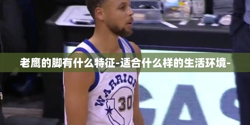 老鹰的脚有什么特征-适合什么样的生活环境-