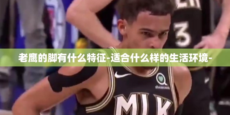 老鹰的脚有什么特征-适合什么样的生活环境-