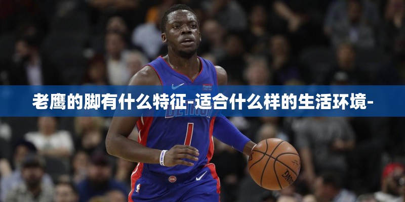 老鹰的脚有什么特征-适合什么样的生活环境-