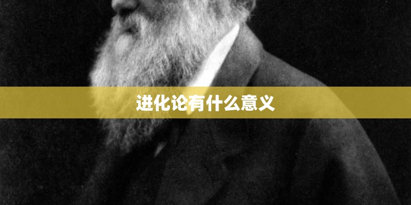 进化论有什么意义