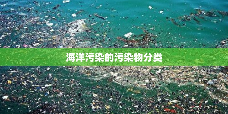 海洋污染的污染物分类