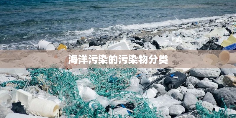 海洋污染的污染物分类