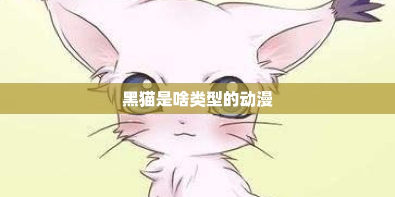 黑猫是啥类型的动漫