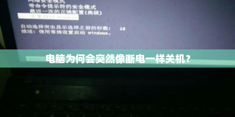 叶仙是什么植物 一种少见的仙人掌科植物