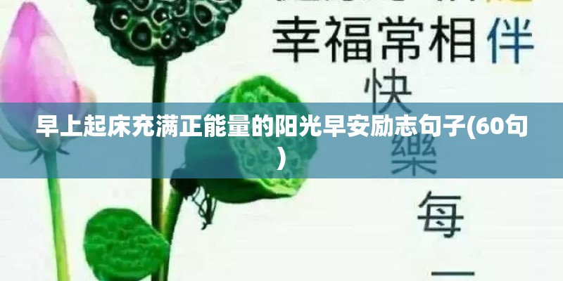 早上起床充满正能量的阳光早安励志句子(60句)